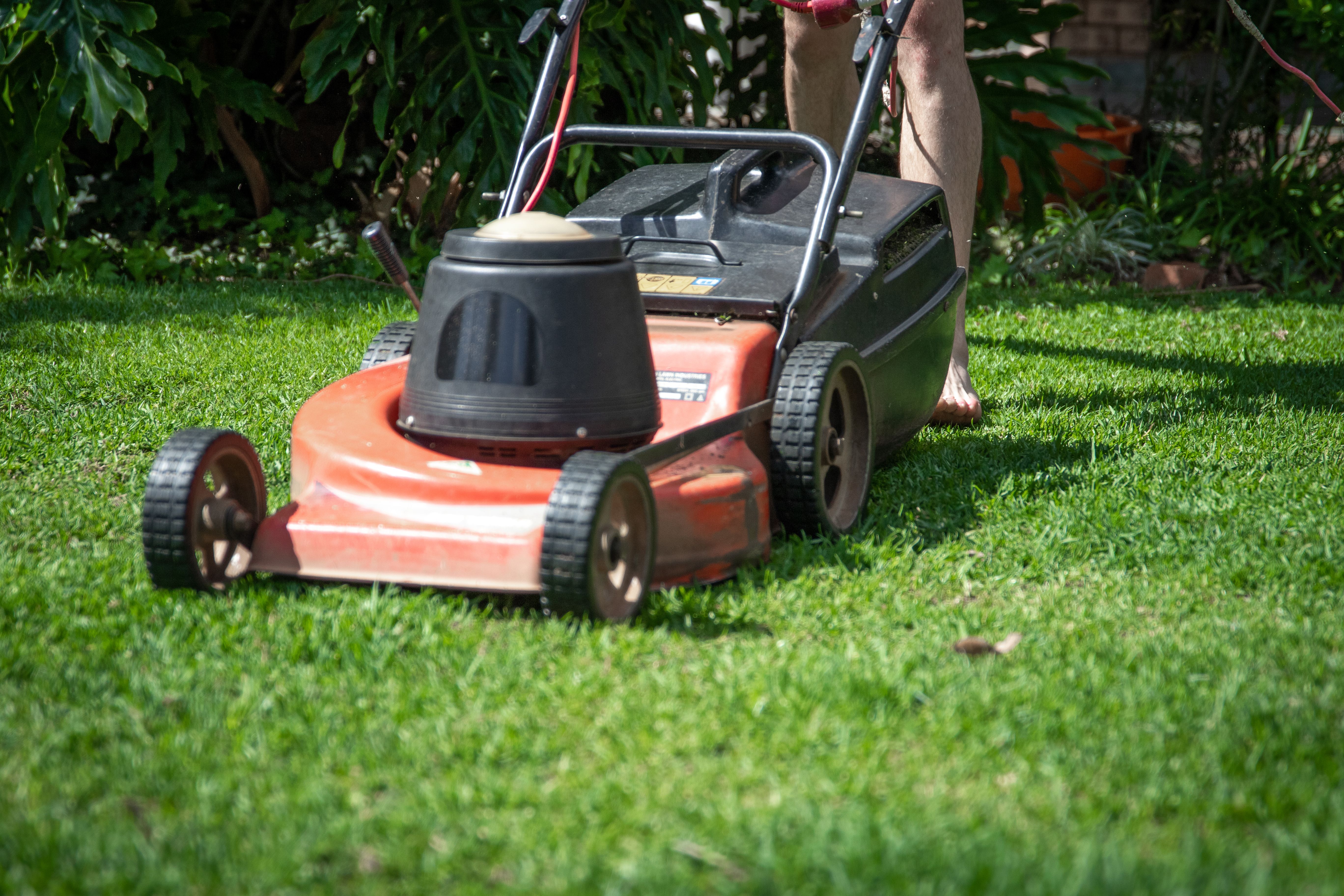 A lawn mower | Source: Pexels