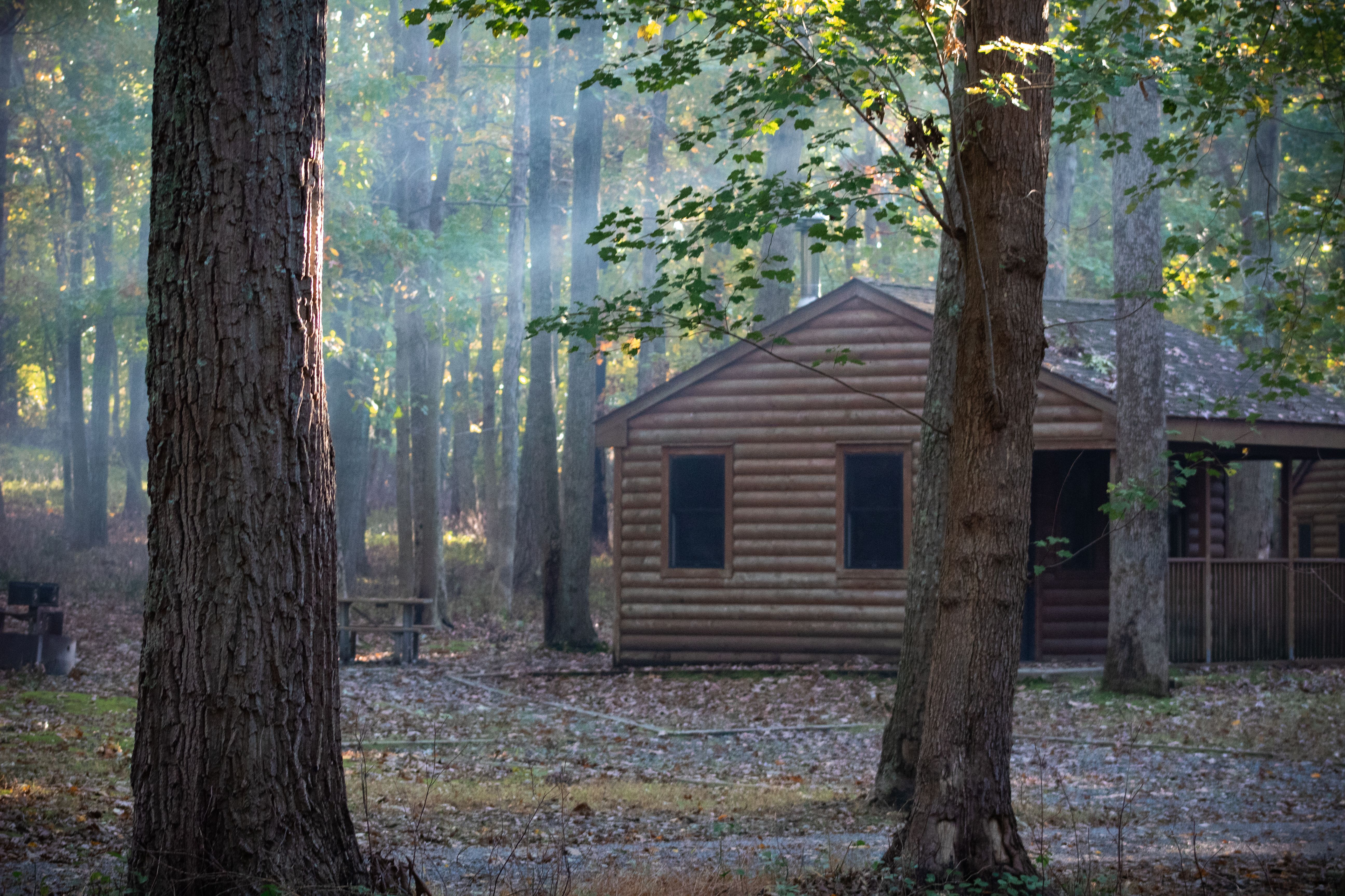 A cabin in the woods | Source: Pexels