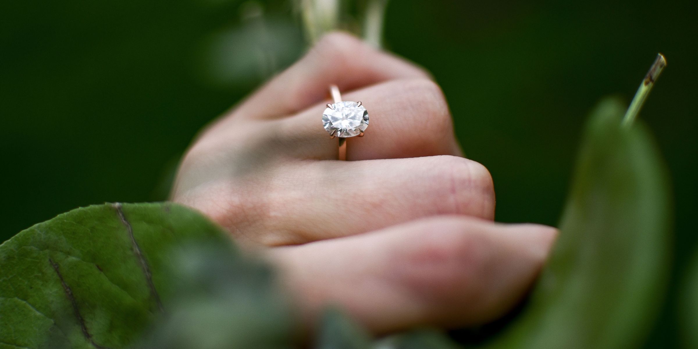 A close-up of a hand with a sparkling diamond ring amidst lush leaves | Source: Pexels