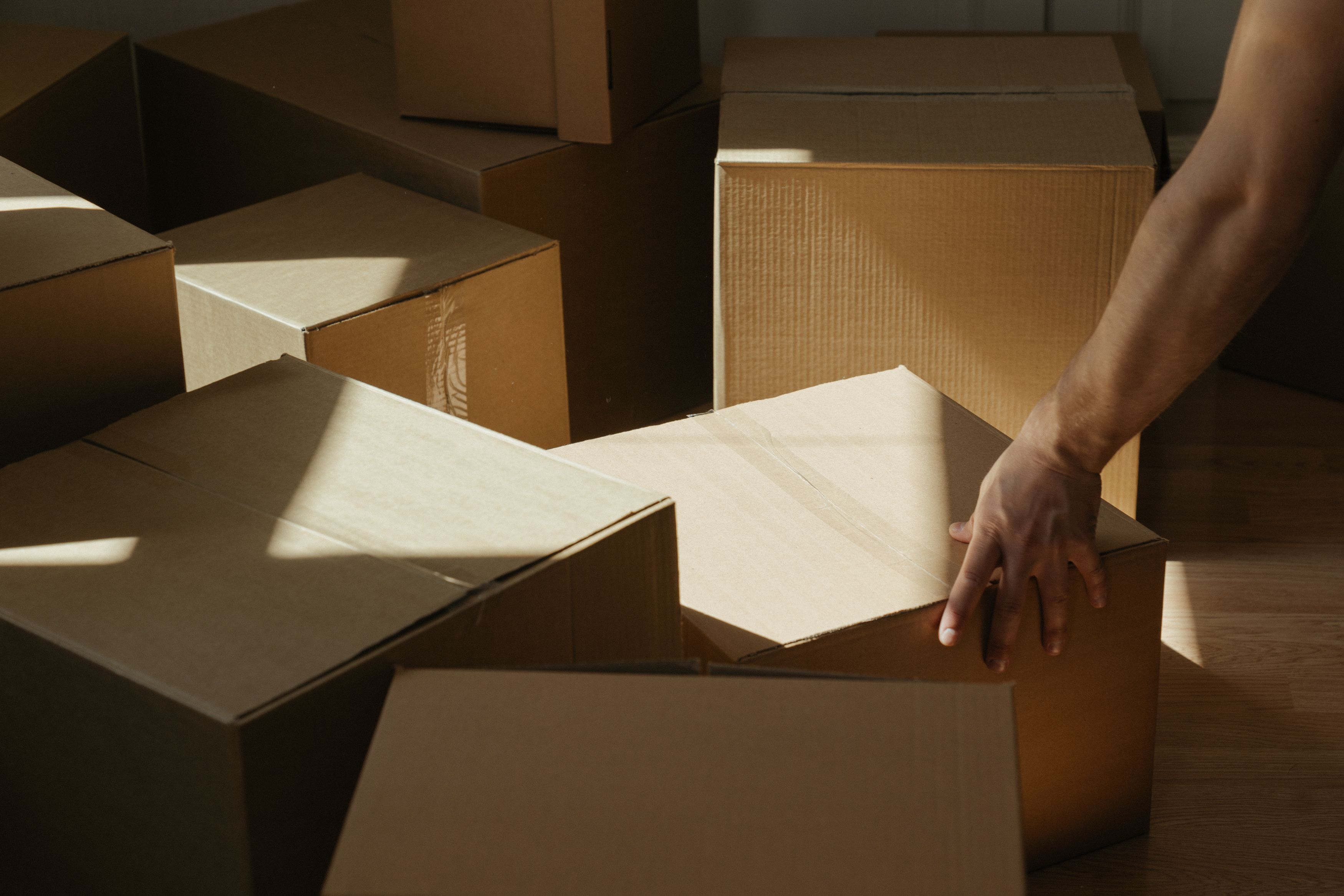 A sunny room with a person moving cardboard boxes | Source: Pexels